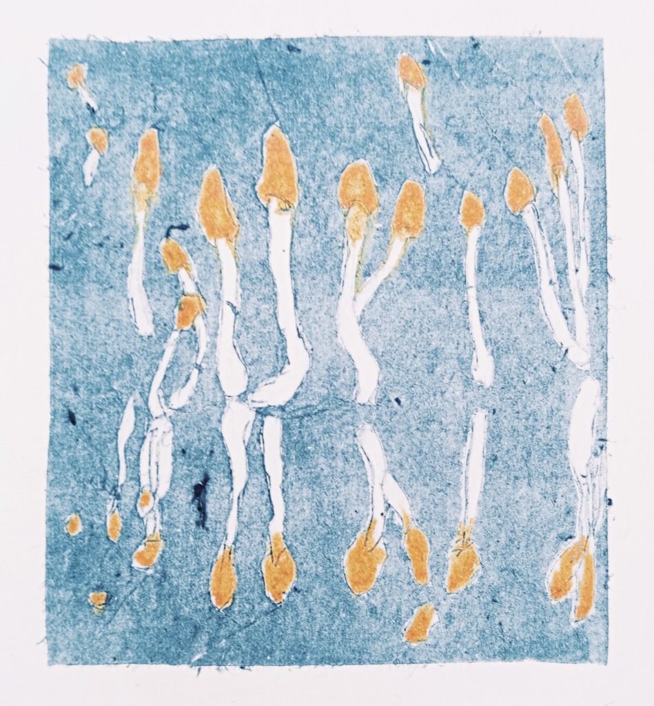 Beekmijtertje, tetradruk 2026 ca. 7,5x8cm.